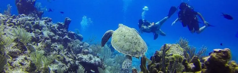 Open Water Diver Ausbildung